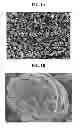 Fig. 02 - Composite anode active material, anode and lithium battery including the same, and method of preparing composite anode active material