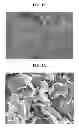 Fig. 03 - Composite anode active material, anode and lithium battery including the same, and method of preparing composite anode active material