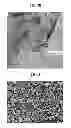 Fig. 04 - Composite anode active material, anode and lithium battery including the same, and method of preparing composite anode active material