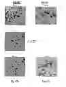 Fig. 12 - Photocatalytic methods for preparation of electrocatalyst materials