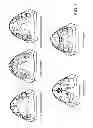 Fig. 02 - CYCLIC INTERRUPTIVE FORCE ORTHODONTIC DEVICE AND SYSTEM