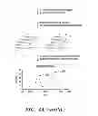 Fig. 09 - QUANTIFICATION OF NUCLEIC ACIDS AND PROTEINS USING OLIGONUCLEOTIDE MASS TAGS