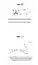 Fig. 05 - Monomeric and polymeric linkers useful for conjugating biological molecules and other substances