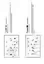 Fig. 09 - Monomeric and polymeric linkers useful for conjugating biological molecules and other substances