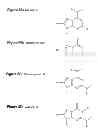 Fig. 10 - Monomeric and polymeric linkers useful for conjugating biological molecules and other substances