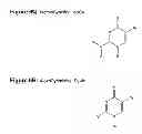 Fig. 14 - Monomeric and polymeric linkers useful for conjugating biological molecules and other substances