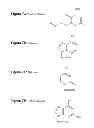 Fig. 20 - Monomeric and polymeric linkers useful for conjugating biological molecules and other substances