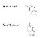 Fig. 22 - Monomeric and polymeric linkers useful for conjugating biological molecules and other substances