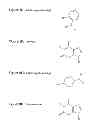Fig. 25 - Monomeric and polymeric linkers useful for conjugating biological molecules and other substances