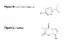 Fig. 26 - Monomeric and polymeric linkers useful for conjugating biological molecules and other substances