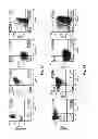 Fig. 06 - Generation of NK cells and NK-cell progenitors