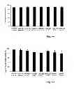 Fig. 07 - Generation of NK cells and NK-cell progenitors