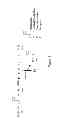Fig. 02 - PHOSPHATASE COUPLED KINASE ASSAY