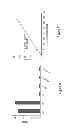 Fig. 07 - PHOSPHATASE COUPLED KINASE ASSAY
