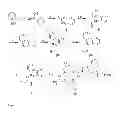 Fig. 03 - Luminescent probes having a phenanthridinyl antenna, and methods of use
