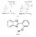 Fig. 04 - Class of near infrared optical probes for biological applications