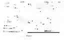Fig. 06 - Class of near infrared optical probes for biological applications