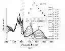 Fig. 07 - Class of near infrared optical probes for biological applications