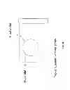 Fig. 05 - Use of live cell inteferometry with reflective floor of observation chamber to determine changes in mass of mammalian cells