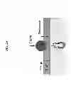 Fig. 09 - Use of live cell inteferometry with reflective floor of observation chamber to determine changes in mass of mammalian cells