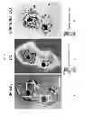 Fig. 19 - Use of live cell inteferometry with reflective floor of observation chamber to determine changes in mass of mammalian cells