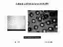 Fig. 27 - Use of live cell inteferometry with reflective floor of observation chamber to determine changes in mass of mammalian cells