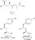 Fig. 06 - PROCESSES FOR PREPARING TUBULYSIN DERIVATIVES AND CONJUGATES THEREOF