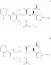 Fig. 63 - PROCESSES FOR PREPARING TUBULYSIN DERIVATIVES AND CONJUGATES THEREOF