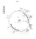 Fig. 02 - Genetically modified yeast species, and fermentation processes using genetically modified yeast
