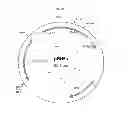 Fig. 06 - Genetically modified yeast species, and fermentation processes using genetically modified yeast