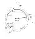 Fig. 44 - Genetically modified yeast species, and fermentation processes using genetically modified yeast