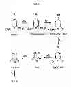 Fig. 02 - Nanostructured carbon based biocatalyst for remediation of environmental pollutants