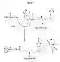 Fig. 04 - Nanostructured carbon based biocatalyst for remediation of environmental pollutants