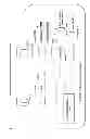Fig. 07 - Biosynthesis of human milk oligosaccharides in engineered bacteria