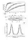 Fig. 06 - Microfluidic system for controlling a concentration profile of molecules capable of stimulating a target
