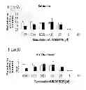 Fig. 06 - Treatment of pluripotent cells