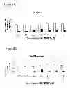 Fig. 09 - Treatment of pluripotent cells