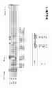 Fig. 02 - Methods and compositions for treatment of a genetic condition