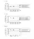 Fig. 07 - Manufacturing method of organic EL element