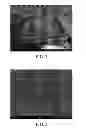 Fig. 03 - ETCHING COMPOSITION AND METHOD FOR ETCHING A SEMICONDUCTOR WAFER