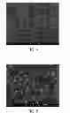 Fig. 04 - ETCHING COMPOSITION AND METHOD FOR ETCHING A SEMICONDUCTOR WAFER