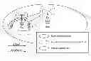 Fig. 01 - Pathloss based access node wake-up control