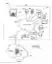 Fig. 02 - Gaming via peer-to-peer networks