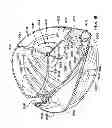 Fig. 49 - Golf club head