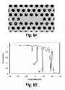 Fig. 09 - Method for label-free multiple analyte sensing, biosensing and diagnostic assay
