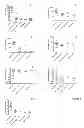 Fig. 02 - Diagnostic method for bacterial meningitis