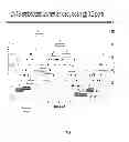 Fig. 08 - SELECTING AND STABILIZING dsRNA CONSTRUCTS