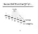 Fig. 09 - SELECTING AND STABILIZING dsRNA CONSTRUCTS