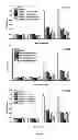 Fig. 07 - Compositions comprising multivalent synthetic ligands of surface nucleolin and glycosaminoglycans