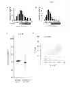 Fig. 06 - MOLECULAR MODULATORS OF THE WNT/BETA-CATENIN PATHWAY